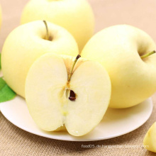 2015 Boren New Crop Exportieren Standerd Golden Apple